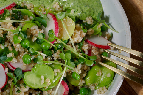 Salade de fèves quinoa roquette